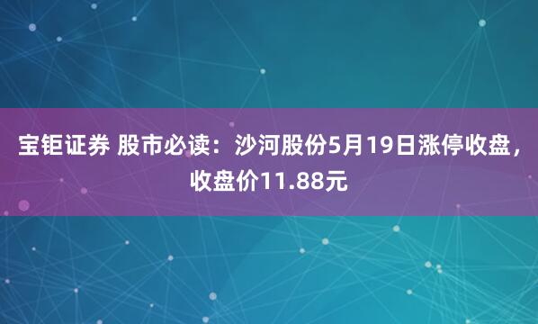 宝钜证券 股市必读：沙河股份5月19日涨停收盘，收盘价11.88元