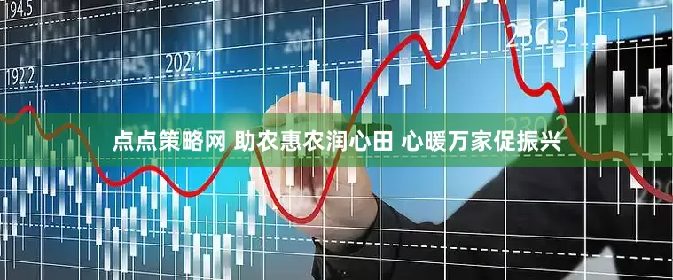 点点策略网 助农惠农润心田 心暖万家促振兴
