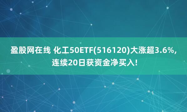 盈股网在线 化工50ETF(516120)大涨超3.6%, 连续20日获资金净买入!