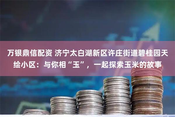 万银鼎信配资 济宁太白湖新区许庄街道碧桂园天绘小区：与你相“玉”，一起探索玉米的故事